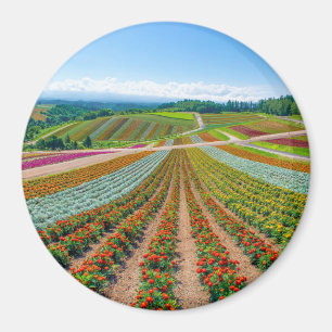 Imã Jardim Shikisai nenhuma fazenda da flor de Oka