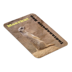 Ímã Jardim zoológico de Meerkat Indianapolis
