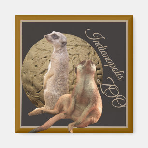 Imã Jardim zoológico de Meerkats Indianapolis