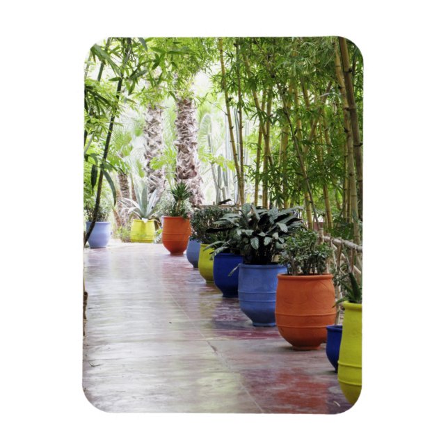 Ímã Jardin Majorelle, Majorelle Garden, agora um públi (Vertical)