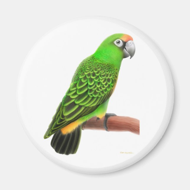 Imã Jardines Parrot Magnet (Frente)