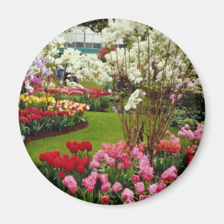 Imã Jardins de Keukenhof em Lisse, a sul de Amster