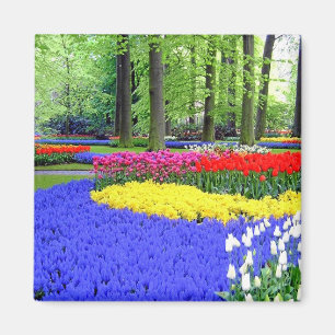 IMÃ JARDINS DE KEUKENHOF, LISSE HOLLAND