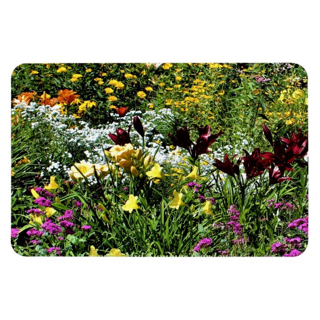 Ímã Jardins de Verão de Médio coloridos! (Horizontal)