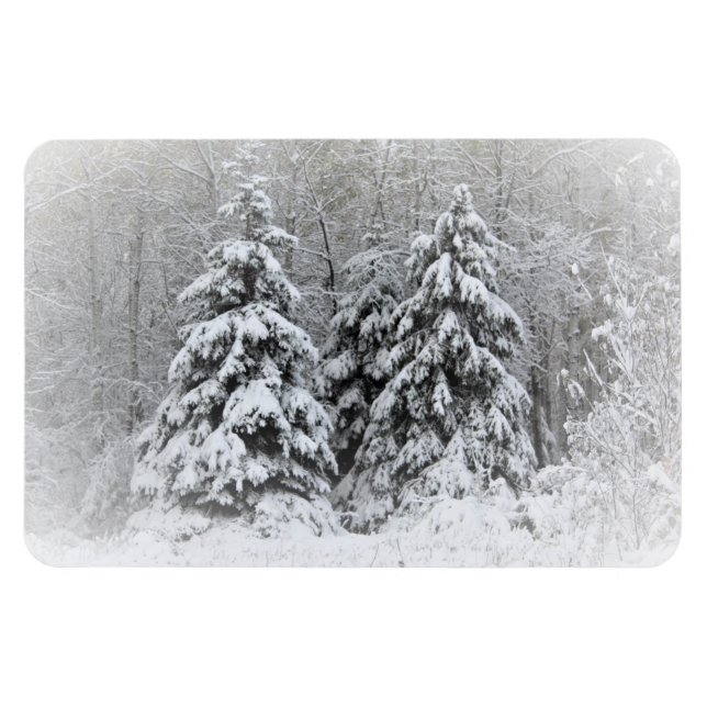 Ímã Jardins Perenes do Rio Urso. Northen Minnesota (Horizontal)