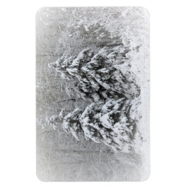 Ímã Jardins Perenes do Rio Urso. Northen Minnesota