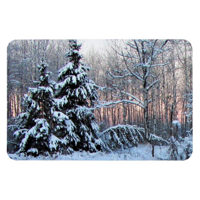 Ímã Jardins Perenes do Rio Urso. Northen Minnesota (Horizontal)