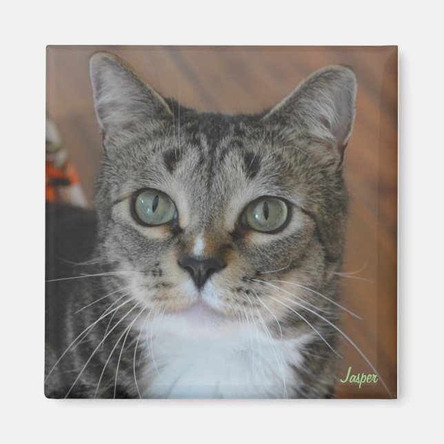 Imã Jasper (Frente)