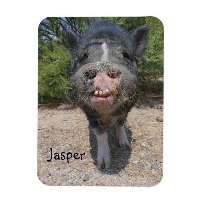 Ímã Jasper Magnet (Vertical)