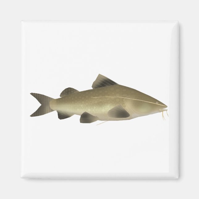 Imã Jaú Catfish (Frente)