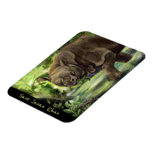Ímã Javan Rhino Art