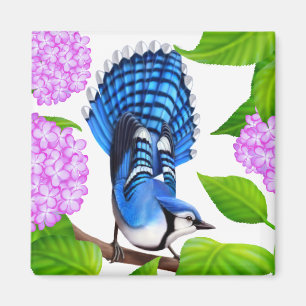 Imã Jay azul no ímã do pássaro dos Hydrangeas