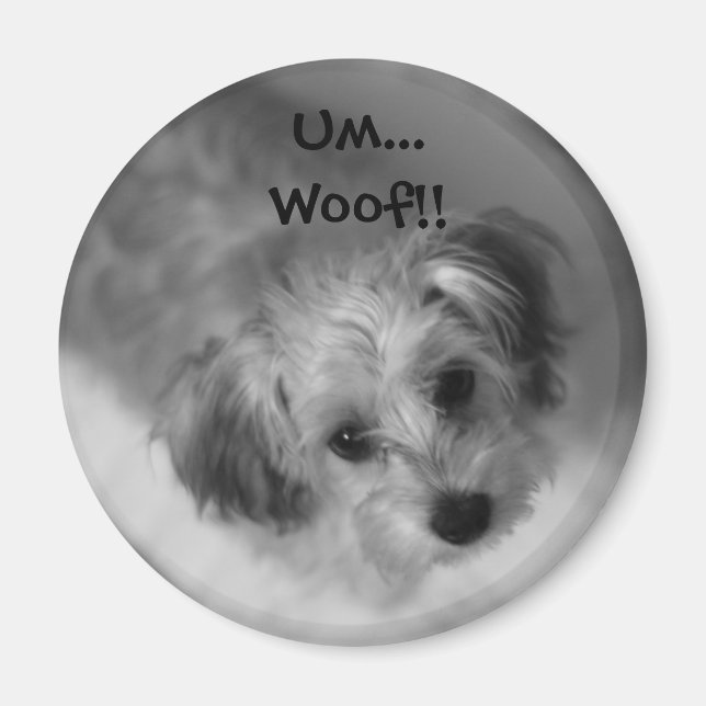 Imã Jazzie Magnet (Frente)