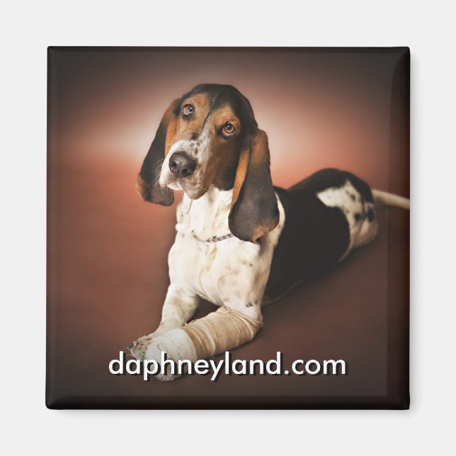 Imã Jefferson com o Magnet (Frente)