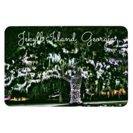 Ímã Jekyll Island GA Holiday Lights on Live Oak Tree