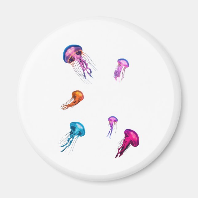 Imã jellyfish magnet (Frente)