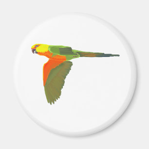 Imã Jenday Conure