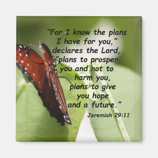 Imã Jeremiah 29:11 (2)
