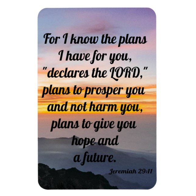 Ímã Jeremiah 29:11, Refrigerator Magnet (Vertical)