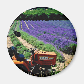 Imã Jersey lavanda fazenda, Jersey Channel Islands, En
