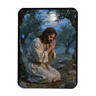 Ímã Jesus orando