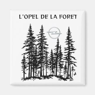 IMÃ JEU DE MOT