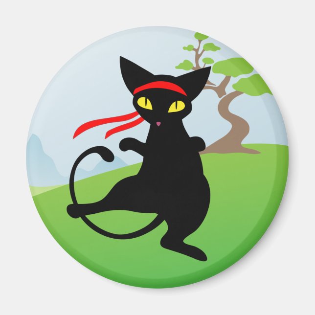 Imã Jinx, o Gato: Magneta Miao-Fu (Frente)