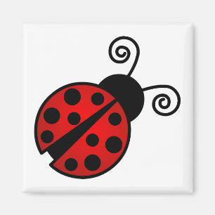 Imã Joaninha bonito - vermelho e preto