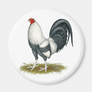Imã Jogo Americano Silver Blue Gamecock