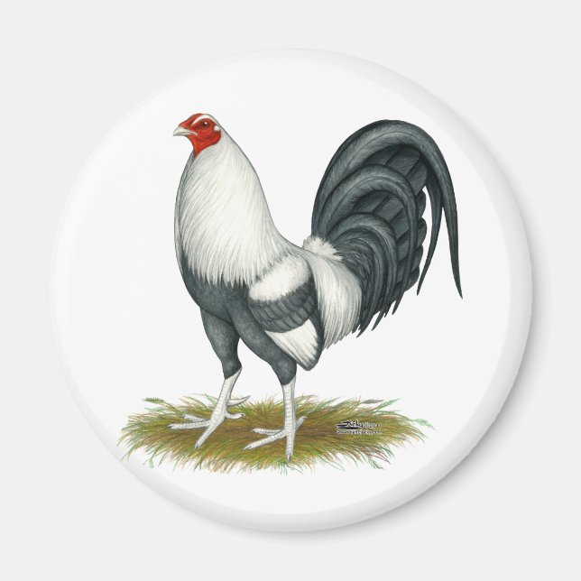 Imã Jogo Americano Silver Blue Gamecock (Frente)