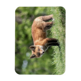 Ímã Jogo do Fox vermelho