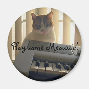 Imã Jogue algum Meowsic!