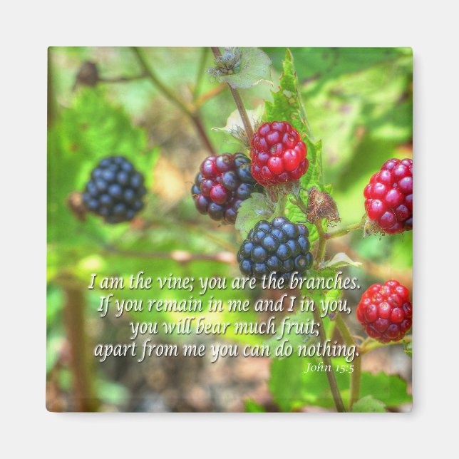 Imã John 15:5 (Frente)