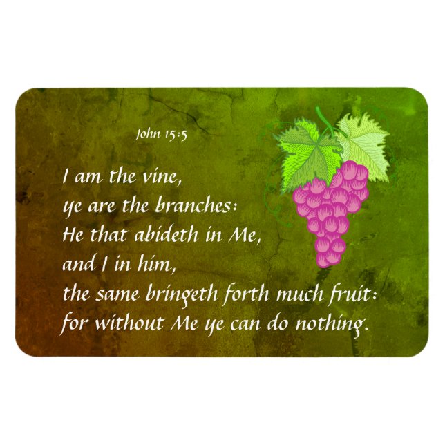 Ímã John 15:5 (Horizontal)
