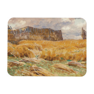 Ímã John Singer Sargent - campo camuflado em France
