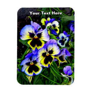 Ímã Johnny Jump Up