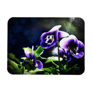 Ímã Johnny Roxo Salta Ups e Estrelas