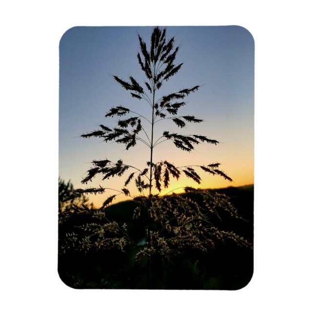 Ímã Johnson Grass (Vertical)