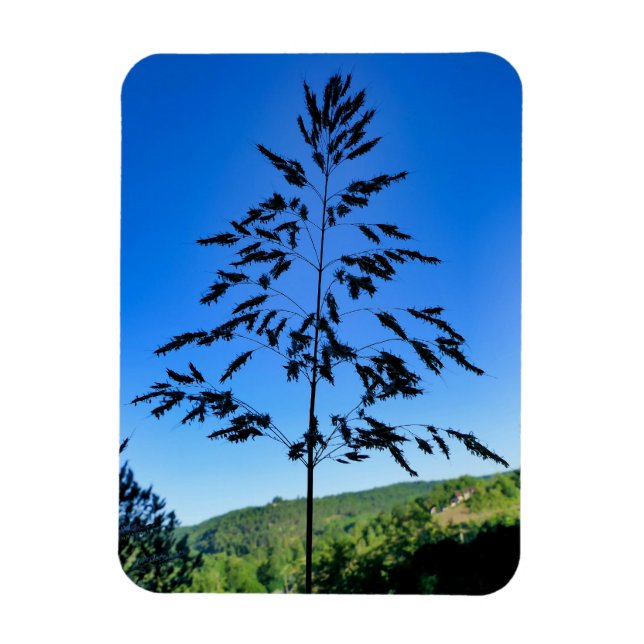 Ímã Johnson Grass (Vertical)
