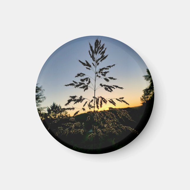 Imã Johnson Grass (Frente)