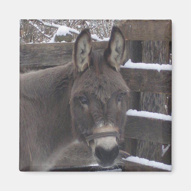 Imã Jonathan (Frente)