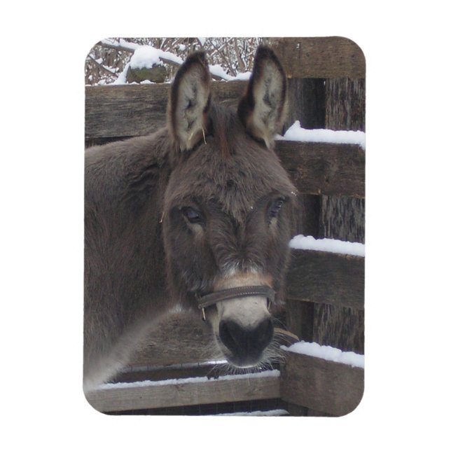 Ímã Jonathan (Vertical)