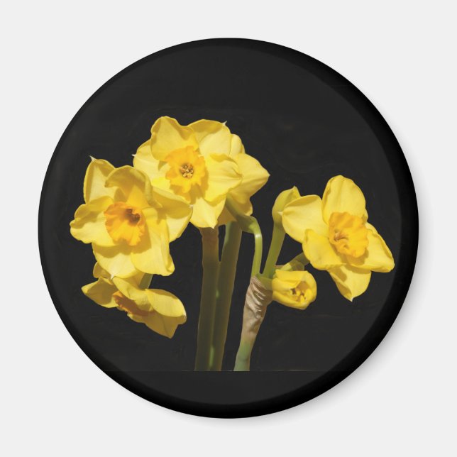 Imã Jonquil Flowers Magnet (Frente)