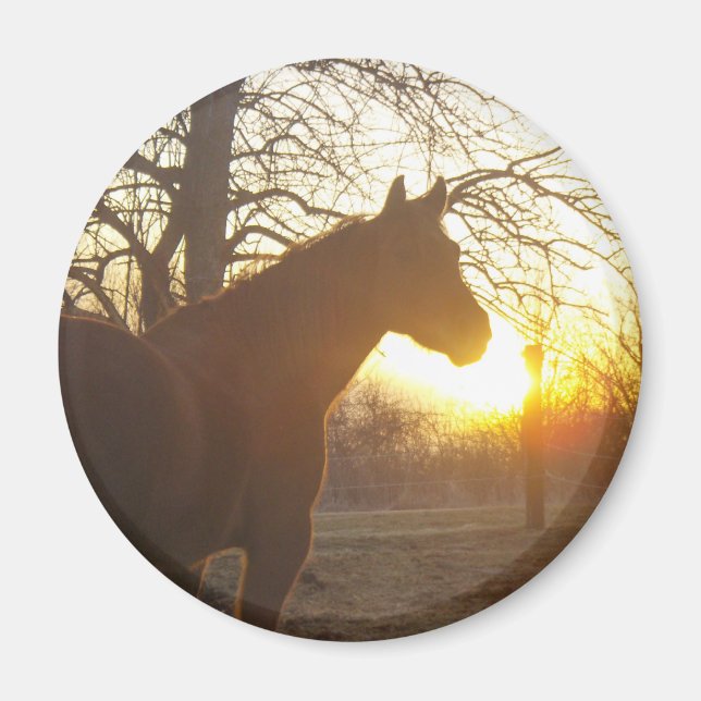 Imã Jose Benito (Frente)