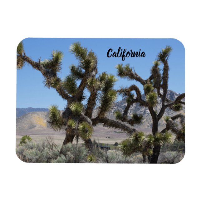 Ímã Joshua Tree na Califórnia (Horizontal)