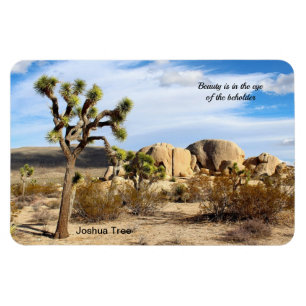 Ímã Joshua Tree no deserto de Mojave 4"x6"
