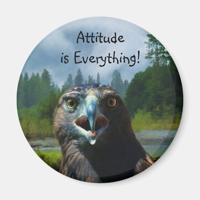 Imã Jovem Águia Balda e Misty Rio Alaskan (Frente)