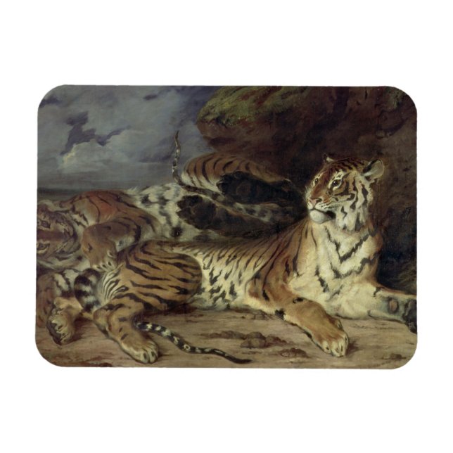 Ímã Jovens tigre brincando com sua mãe, 1830 (óleo lig (Horizontal)