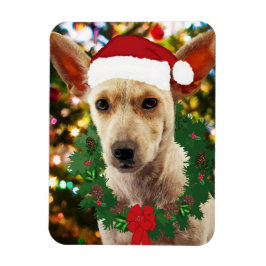 Ímã Joy para o Puppy