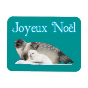 Ímã Joyeux Noё l - Selo com Toque